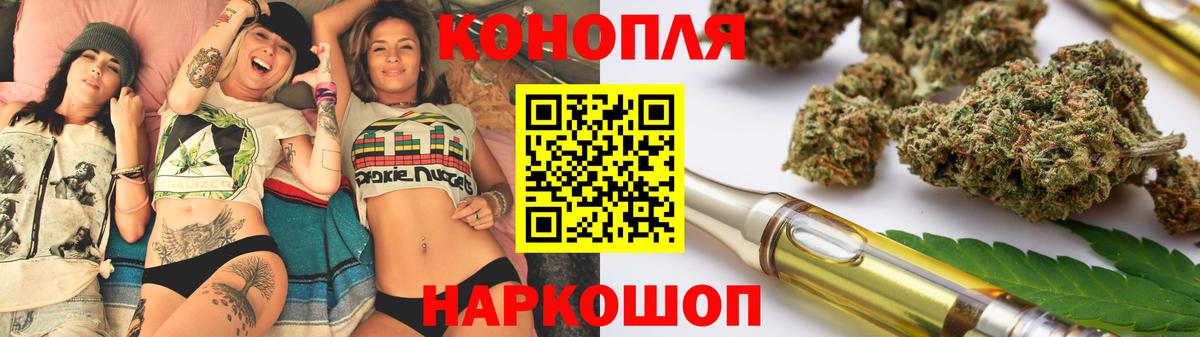 Канабис сатива Камышин